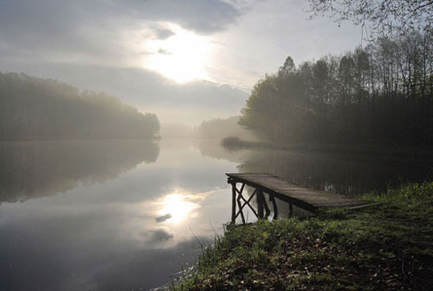Palowice w obiektywie, fot. Tadeusz Stawowczyk