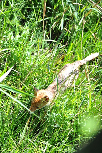 Palowice w obiektywie, fot. Tadeusz Stawowczyk