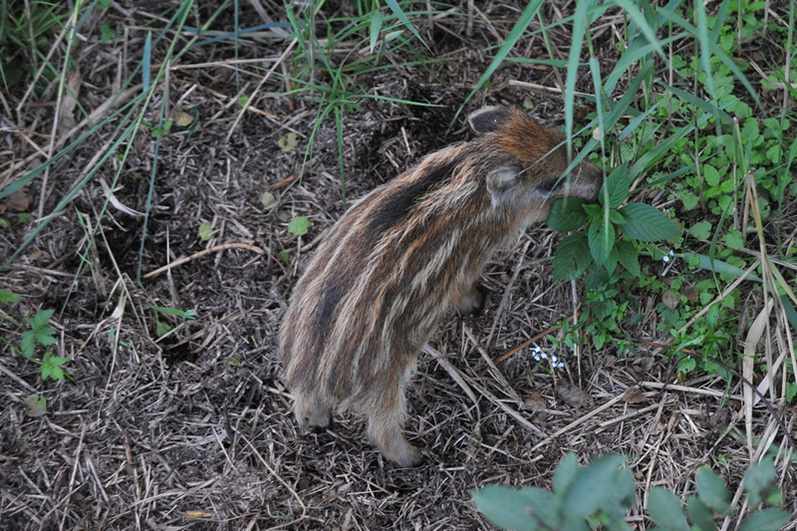 Palowice w obiektywie, fot. Tadeusz Stawowczyk