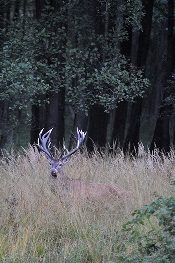 Palowice w obiektywie, fot. Tadeusz Stawowczyk