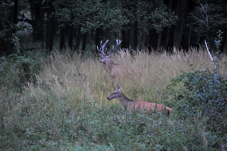 Palowice w obiektywie, fot. Tadeusz Stawowczyk