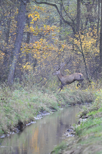 Palowice w obiektywie, fot. Tadeusz Stawowczyk