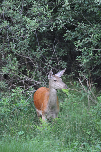 Palowice w obiektywie, fot. Tadeusz Stawowczyk