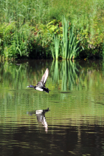 Palowice w obiektywie, fot. Tadeusz Stawowczyk