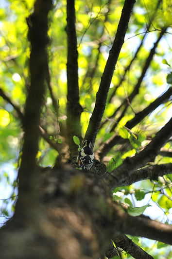 Palowice w obiektywie, fot. Tadeusz Stawowczyk