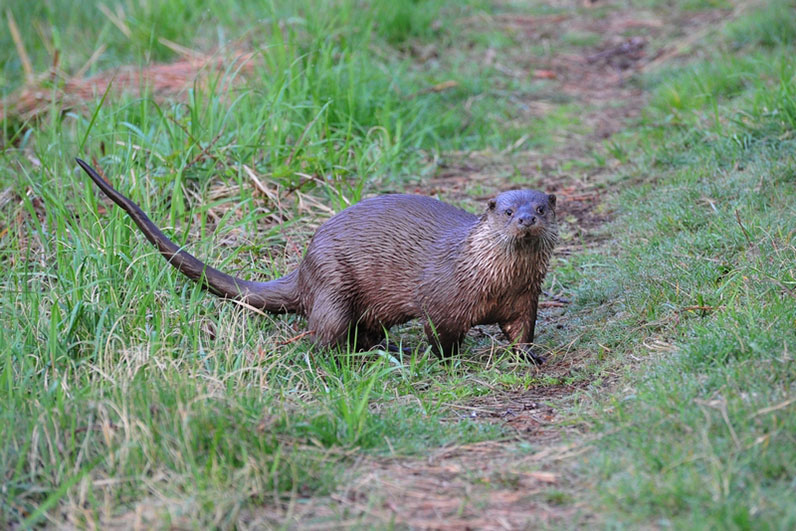 Palowice w obiektywie, fot. Tadeusz Stawowczyk