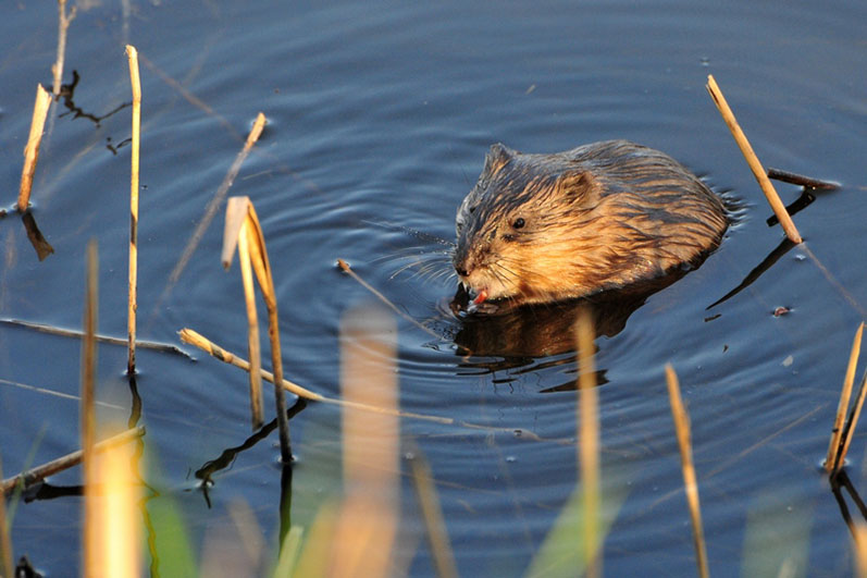 Palowice w obiektywie, fot. Tadeusz Stawowczyk