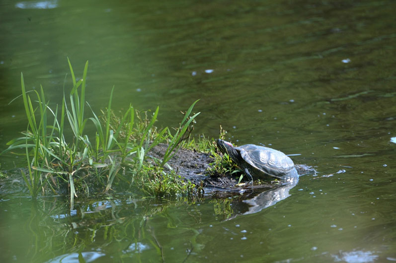 Palowice w obiektywie, fot. Tadeusz Stawowczyk