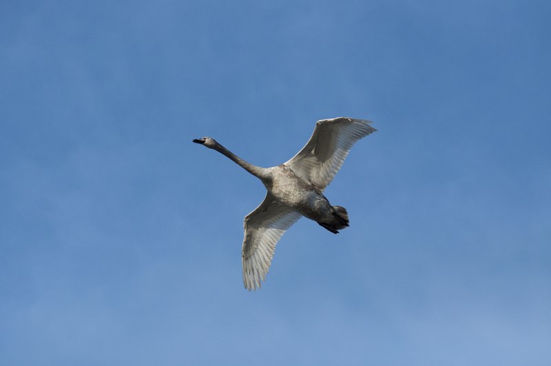 Palowice w obiektywie, fot. Tadeusz Stawowczyk