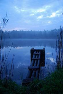 Palowice w obiektywie, fot. Tadeusz Stawowczyk