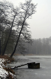 Palowice w obiektywie, fot. Tadeusz Stawowczyk