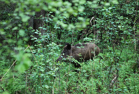 Palowice w obiektywie, fot. Tadeusz Stawowczyk