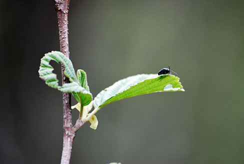 Palowice w obiektywie, fot. Tadeusz Stawowczyk
