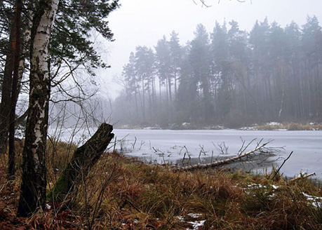 Palowice w obiektywie, fot. Tadeusz Stawowczyk