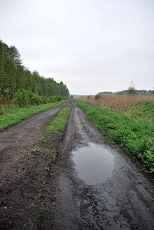 Palowice w obiektywie, fot. Tadeusz Stawowczyk