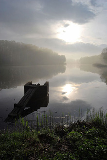 Palowice w obiektywie, fot. Tadeusz Stawowczyk