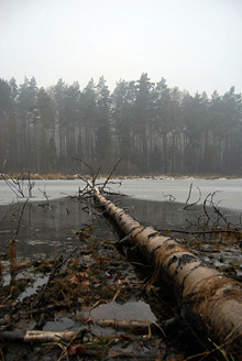 Palowice w obiektywie, fot. Tadeusz Stawowczyk