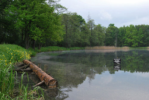 Palowice w obiektywie, fot. Tadeusz Stawowczyk