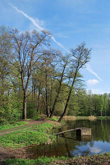 Palowice w obiektywie, fot. Tadeusz Stawowczyk