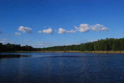 Palowice w obiektywie, fot. Tadeusz Stawowczyk
