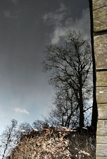 Palowice w obiektywie, fot. Tadeusz Stawowczyk