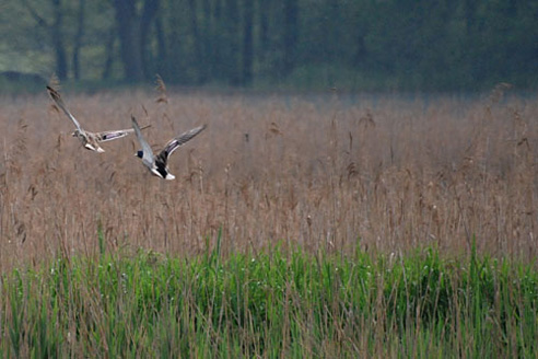 Palowice w obiektywie, fot. Tadeusz Stawowczyk