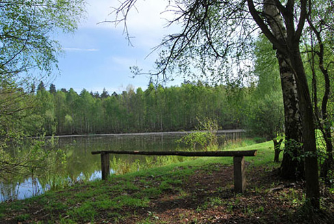 Palowice w obiektywie, fot. Tadeusz Stawowczyk