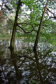 Palowice w obiektywie, fot. Tadeusz Stawowczyk