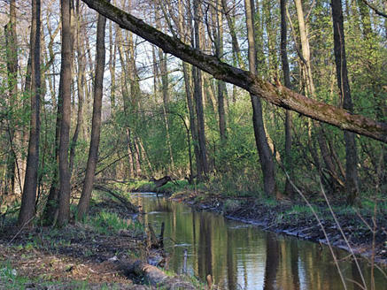 Palowice w obiektywie, fot. Tadeusz Stawowczyk