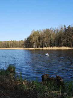 Palowice w obiektywie, fot. Tadeusz Stawowczyk