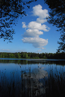 Palowice w obiektywie, fot. Tadeusz Stawowczyk