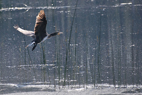 Palowice w obiektywie, fot. Tadeusz Stawowczyk