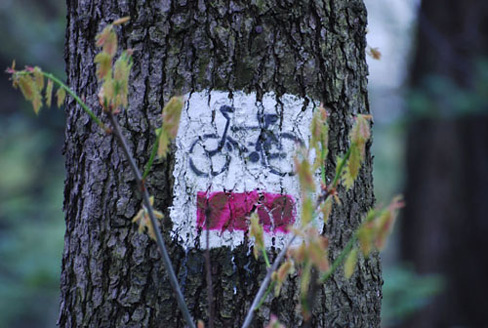 Palowice w obiektywie, fot. Tadeusz Stawowczyk