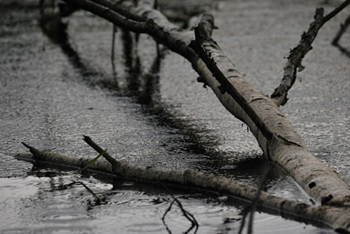 Palowice w obiektywie, fot. Tadeusz Stawowczyk
