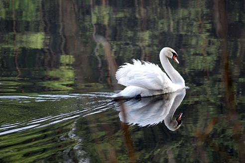 Palowice w obiektywie, fot. Tadeusz Stawowczyk