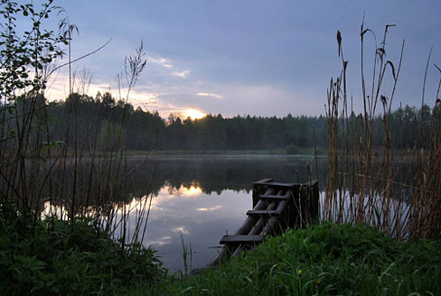Palowice w obiektywie, fot. Tadeusz Stawowczyk