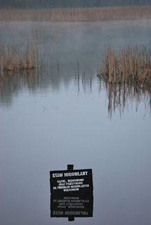 Palowice w obiektywie, fot. Tadeusz Stawowczyk