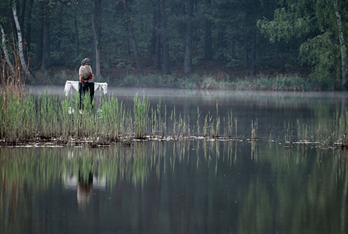 Palowice w obiektywie, fot. Tadeusz Stawowczyk