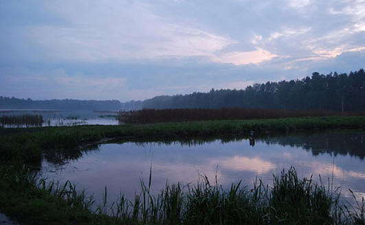 Palowice w obiektywie, fot. Tadeusz Stawowczyk