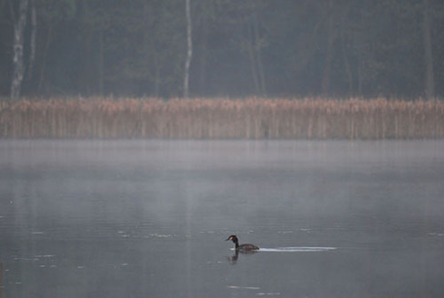 Palowice w obiektywie, fot. Tadeusz Stawowczyk
