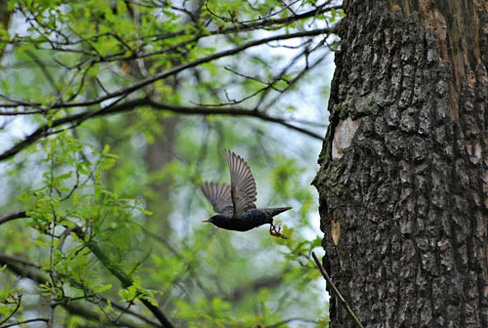 Palowice w obiektywie, fot. Tadeusz Stawowczyk
