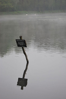 Palowice w obiektywie, fot. Tadeusz Stawowczyk