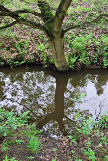 Palowice w obiektywie, fot. Tadeusz Stawowczyk