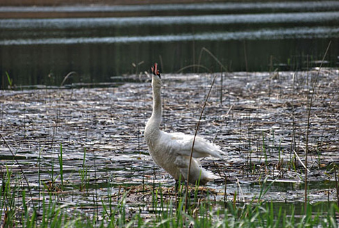 Palowice w obiektywie, fot. Tadeusz Stawowczyk