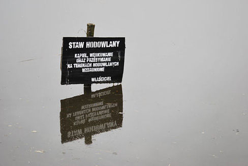 Palowice w obiektywie, fot. Tadeusz Stawowczyk