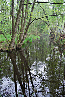 Palowice w obiektywie, fot. Tadeusz Stawowczyk