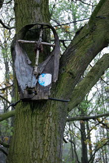 Palowice w obiektywie, fot. Tadeusz Stawowczyk