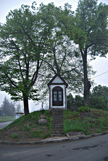 Palowice w obiektywie, fot. Tadeusz Stawowczyk