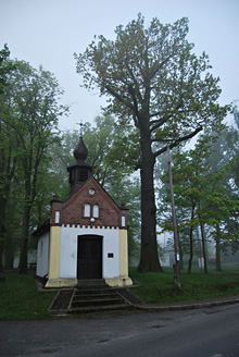 Palowice w obiektywie, fot. Tadeusz Stawowczyk