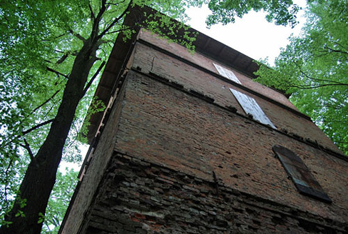 Palowice w obiektywie, fot. Tadeusz Stawowczyk